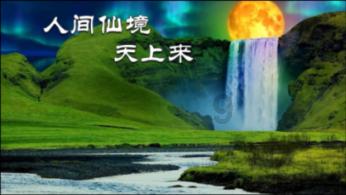 逗小猴开心系列172