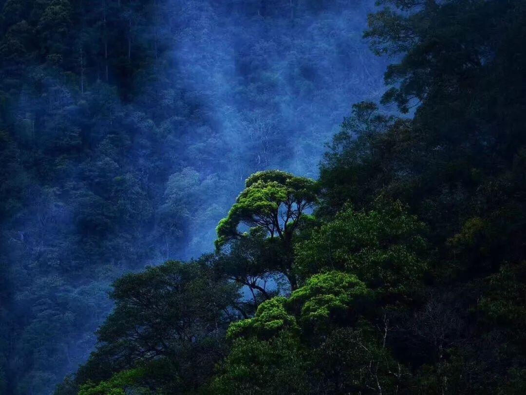 三小只僵尸的游戏时间2