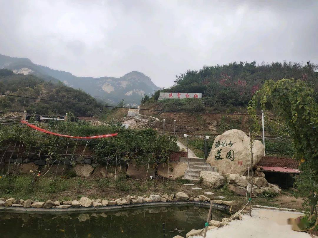 妙鸭相机app下载官网