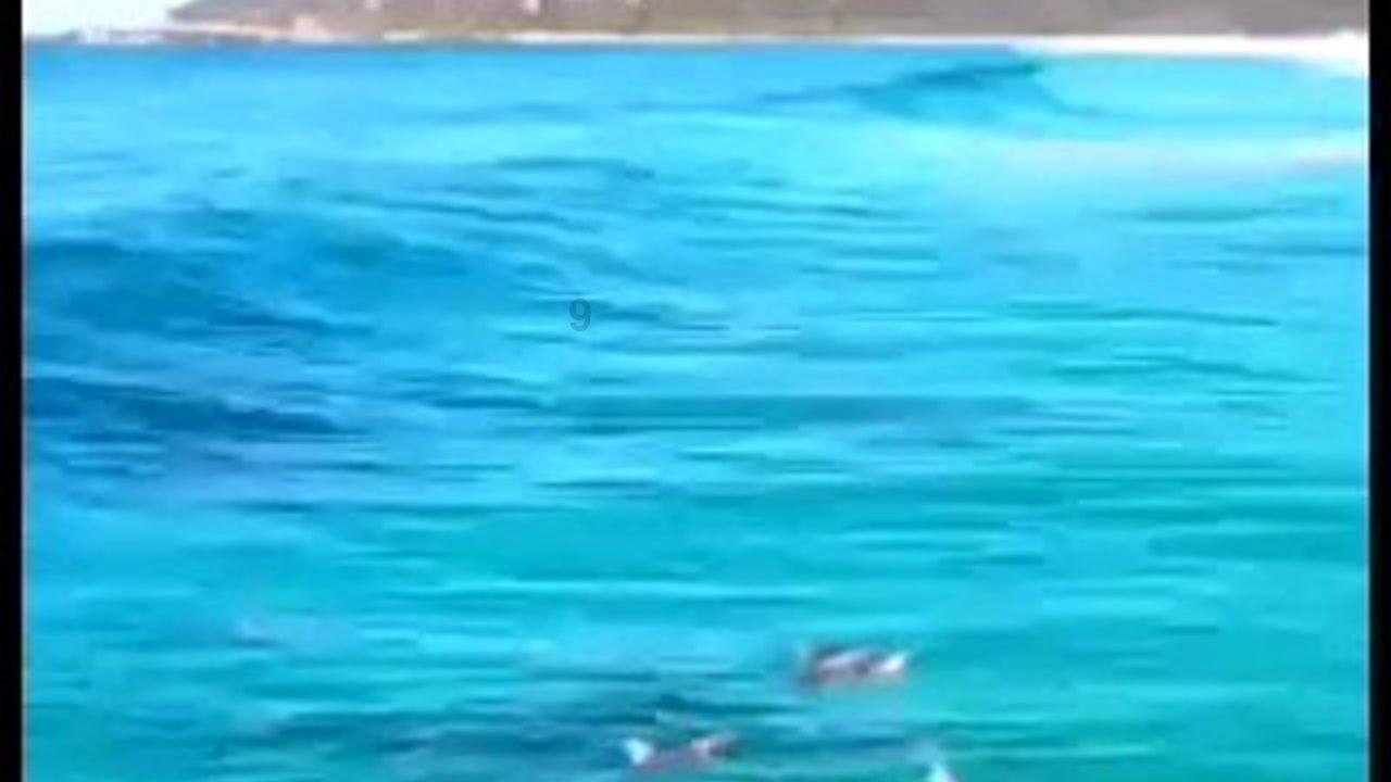 赛博朋克酒保行动