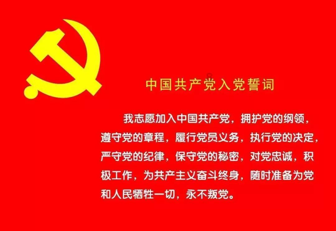 简单粗暴直奔主题的6部黄暴系列美剧，每部都被严重低估了