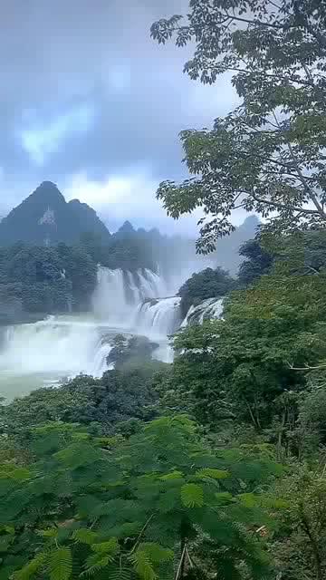 全民剧本大师内置菜单