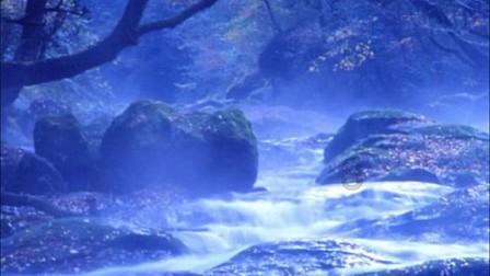 少年文身之痛,全国首例未成年人文身民事公益诉讼案带来积极影响